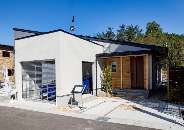 modelhouse_01