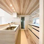modelhouse_13